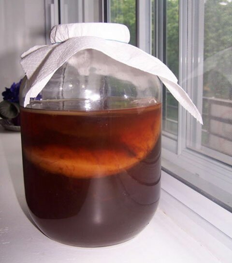 Fermentação