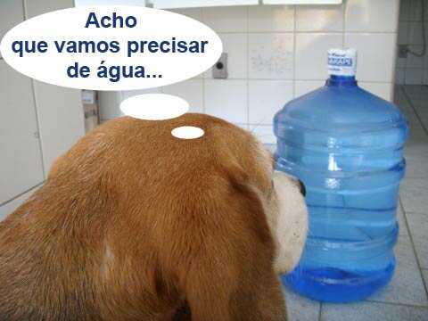 Kaik pensando